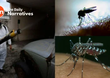 2024 Updates: Dengue Outbreak in the America’s Surpasses Yearly Record with Over 5.2 Million Cases, PAHO Reports of 2023.