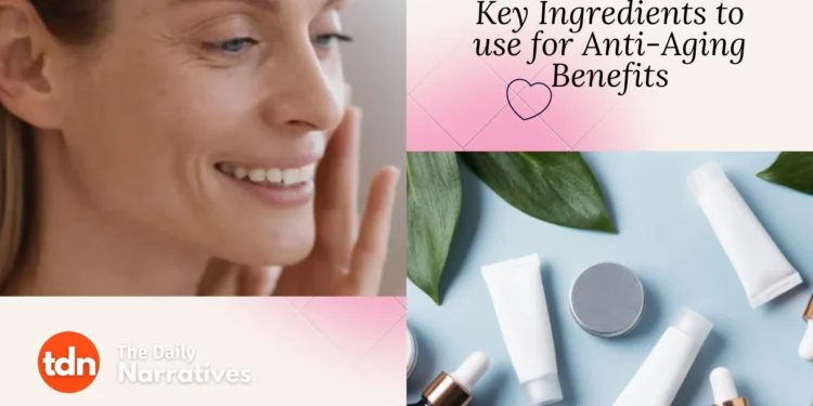 Essential Guide to Key Ingredients in Anti-Aging Skincare: What You Need to Know