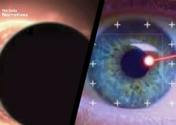 2024 Solar Eclipse Safety: Rising Concerns Over Eye Damage and Blindness, Search Trends Show